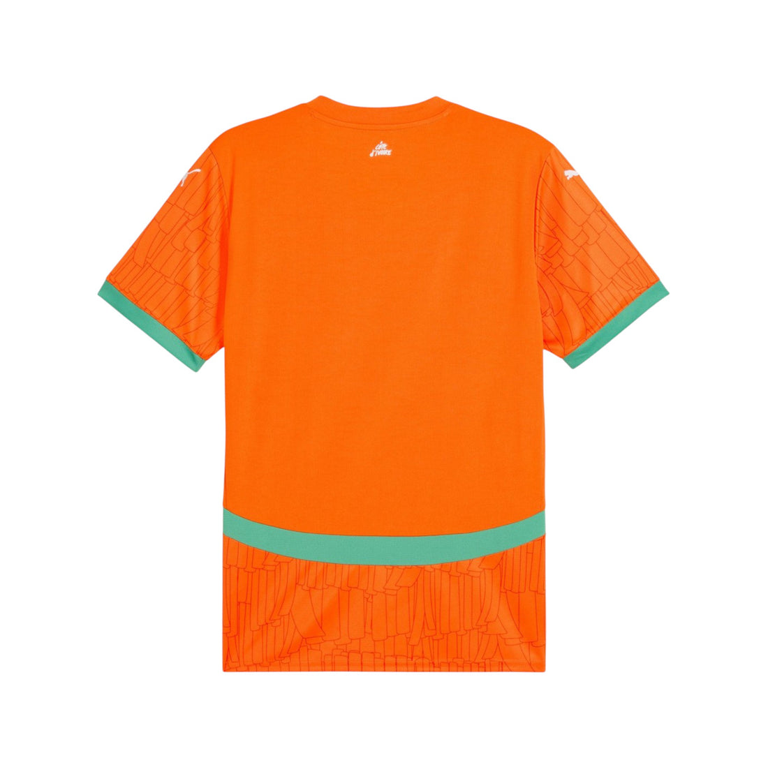 Ivory Coast - 2024/2025 - Home - Pro Version