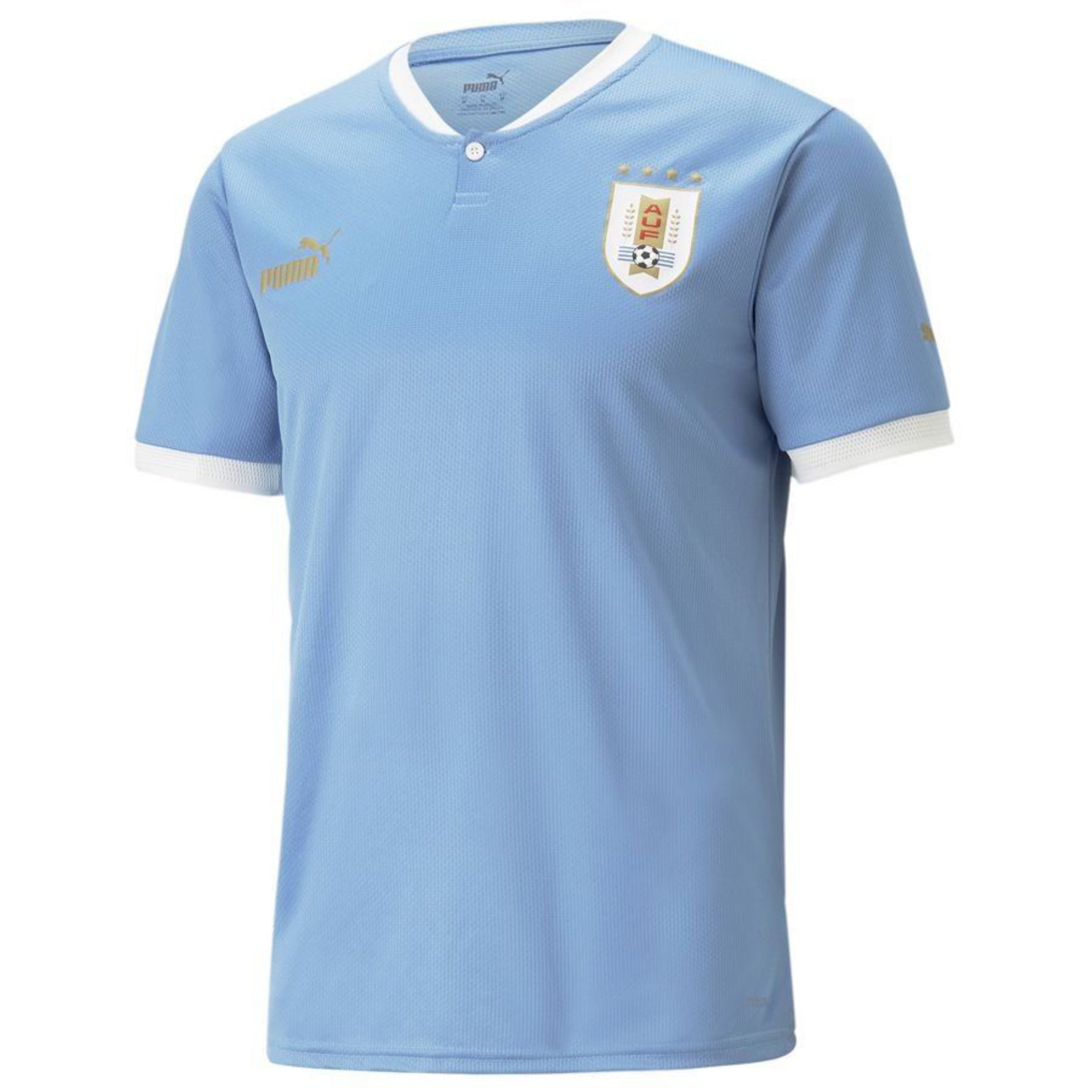 Uruguay - 2024/2025 - Home - Pro Version