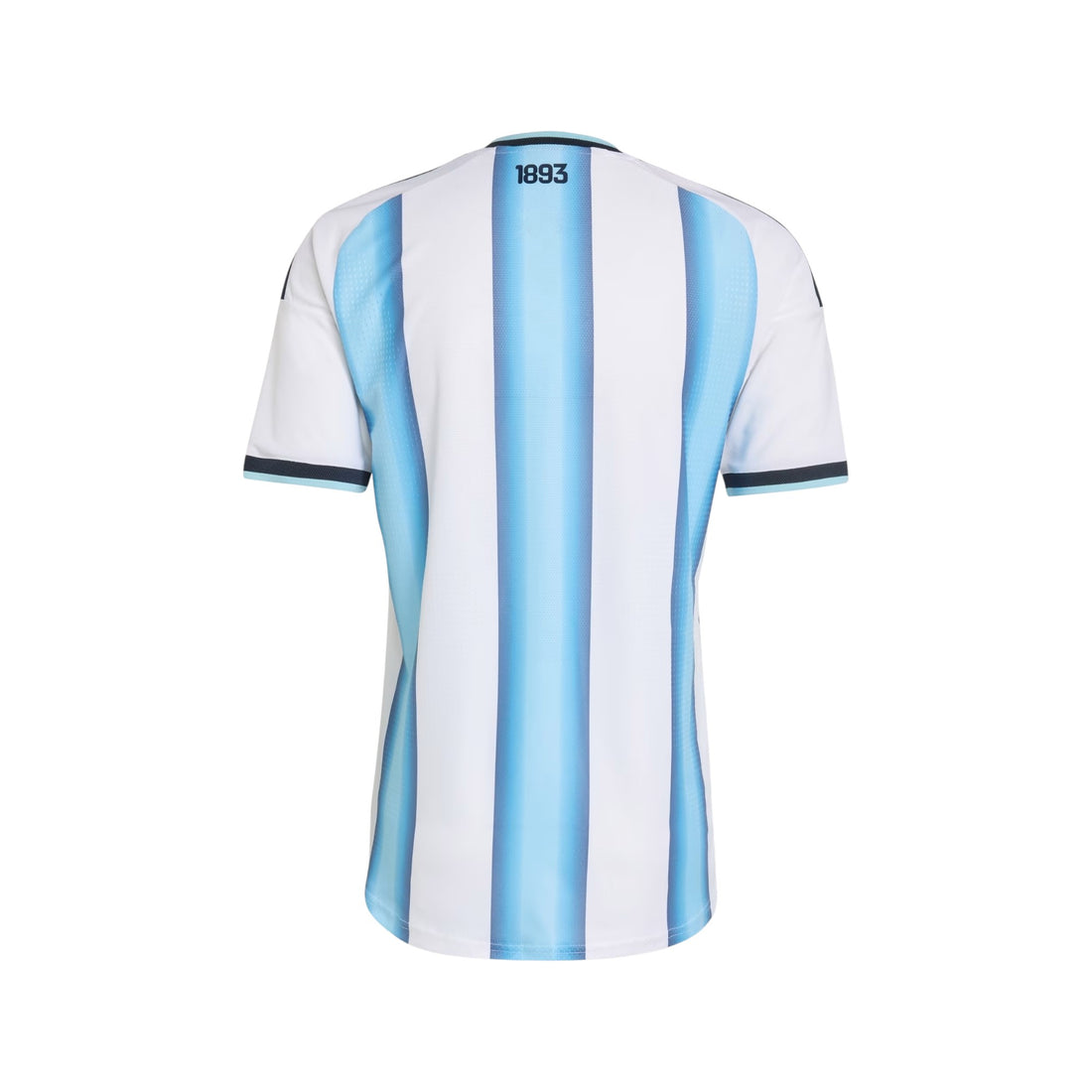Argentina - 2026 - Home - Fan Version