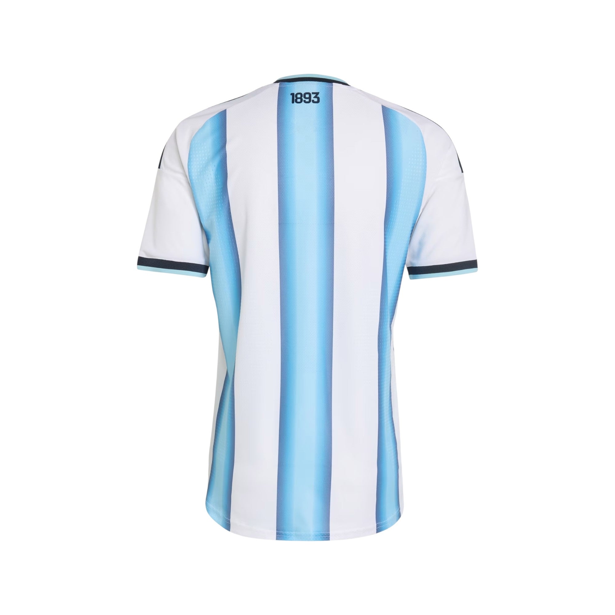 Argentina - 2026 - Home - Fan Version