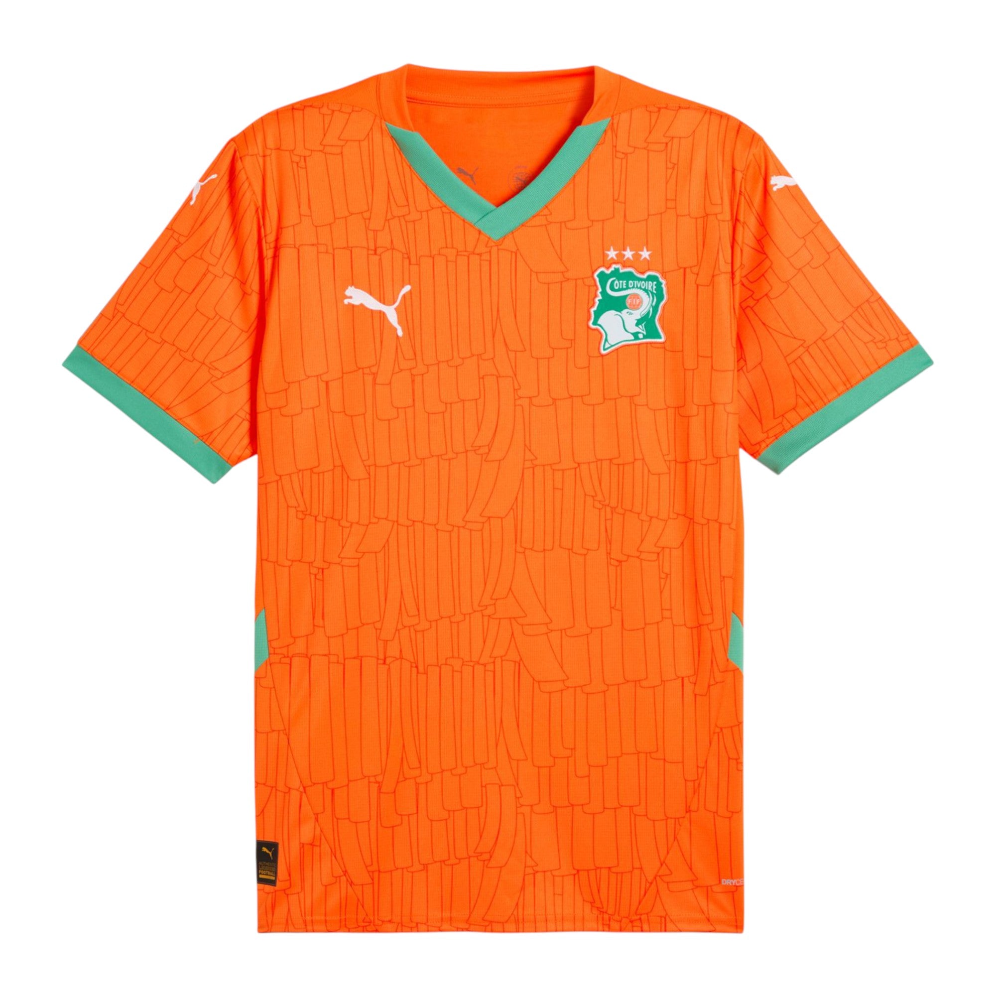 Ivory Coast - 2024/2025 - Home - Fan Version