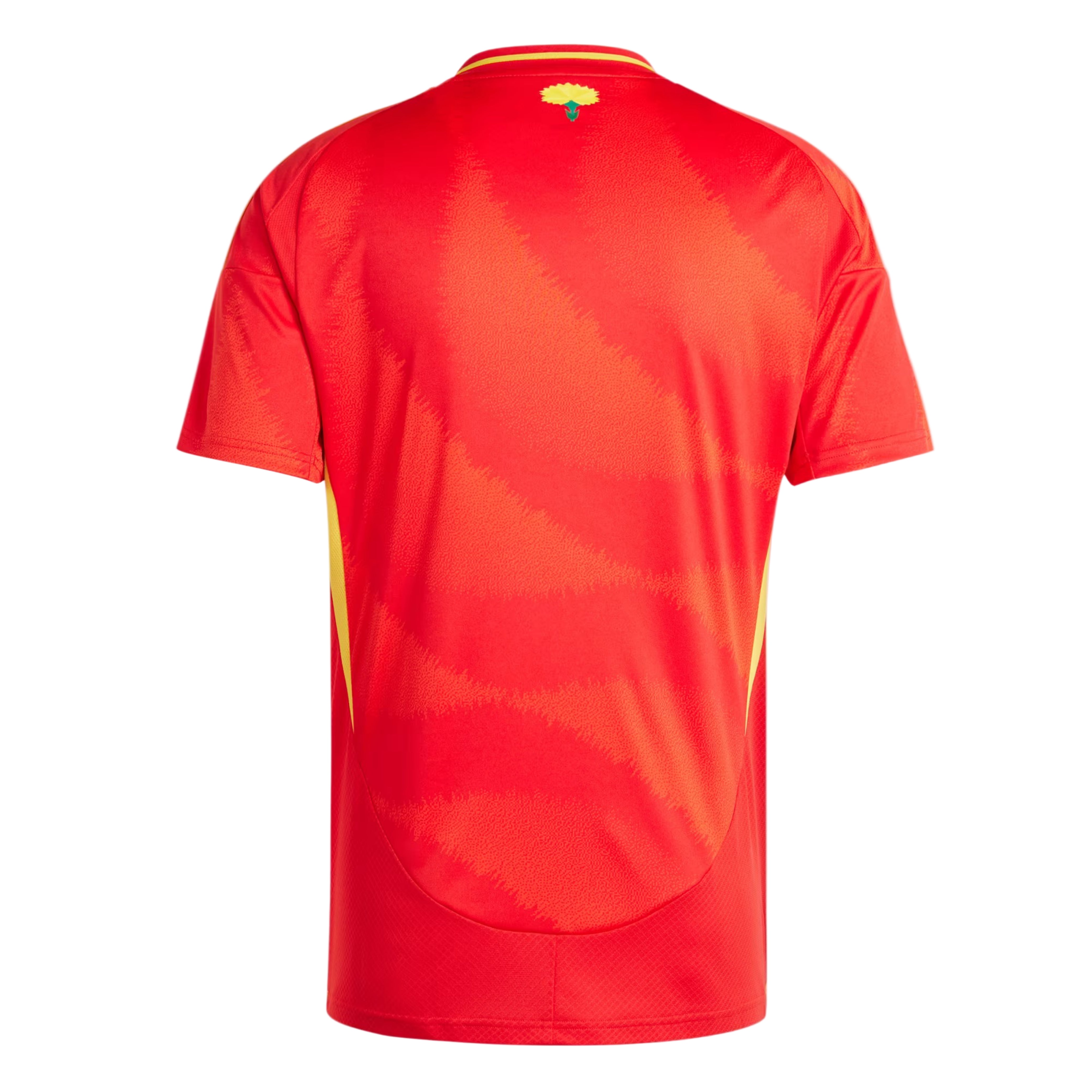 Spain - 2024 - Home - Pro Version