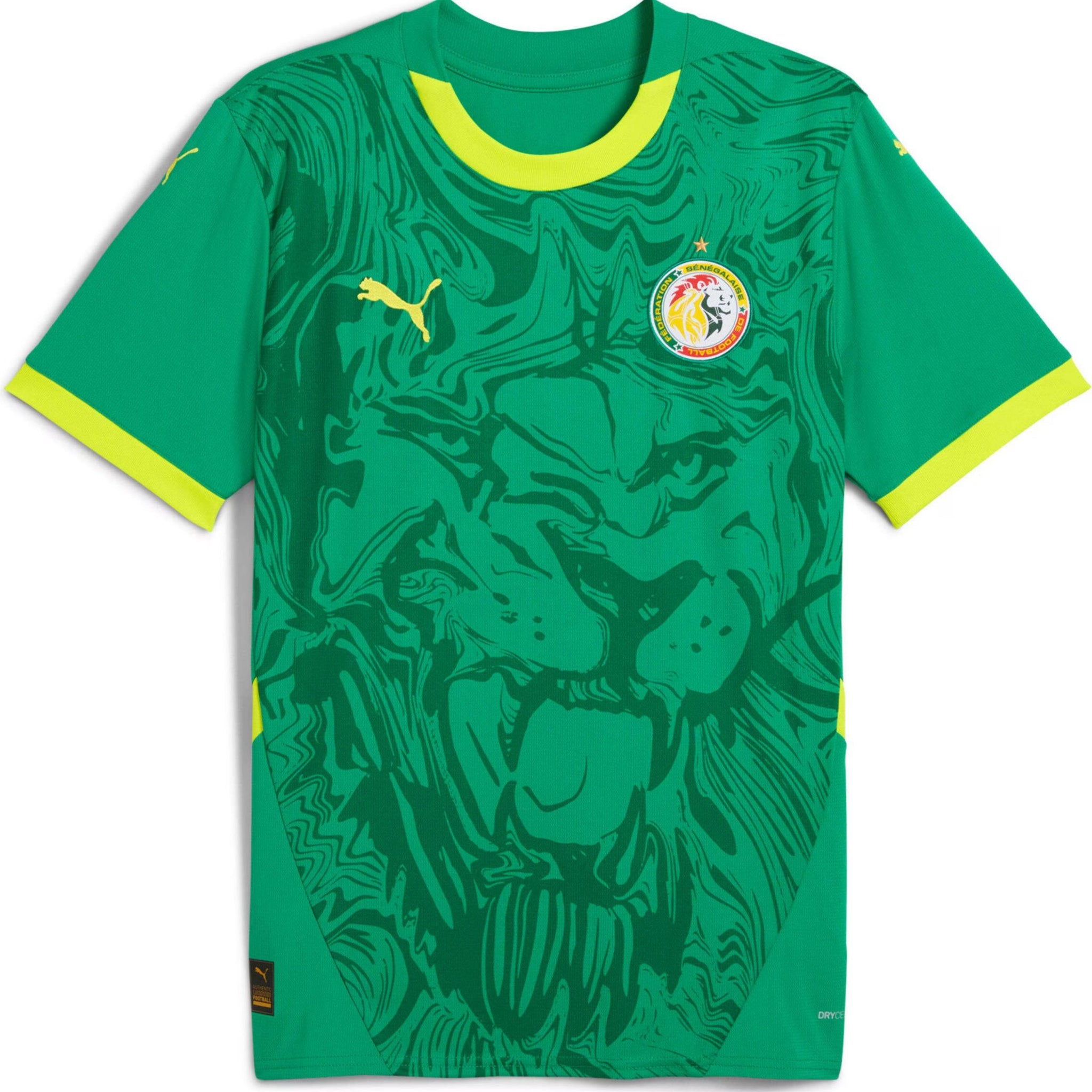 Senegal - 2024/2025 - Away - Pro Version