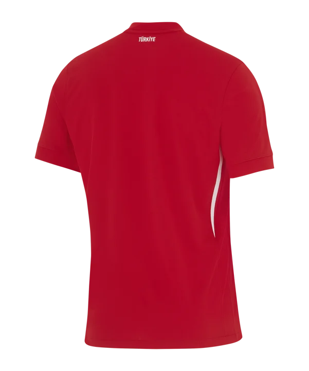 Turkey - 2024 - Home - Pro Version