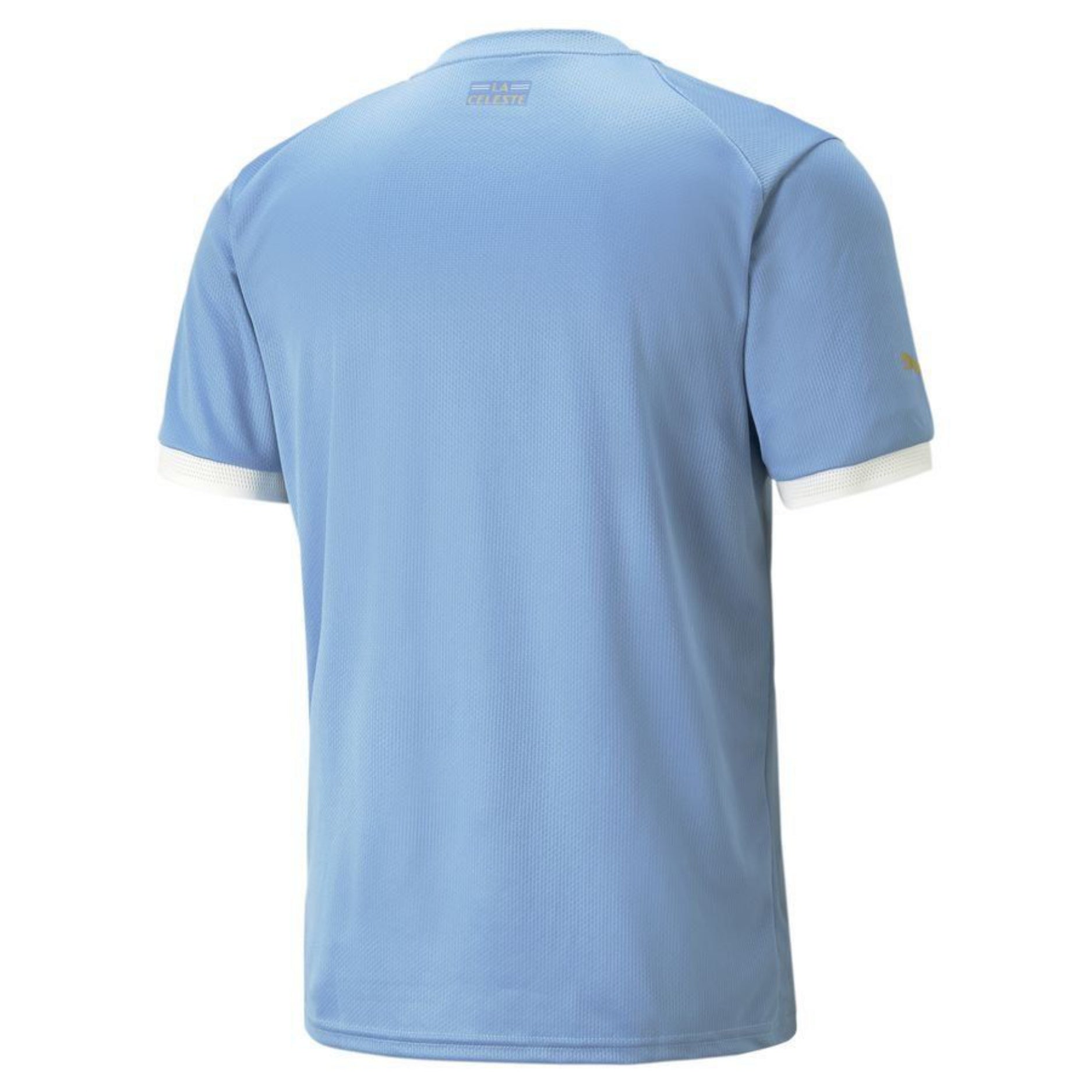 Uruguay - 2024/2025 - Home - Pro Version